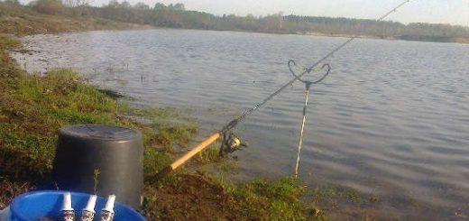 Незабываемая рыбалка на донки в дружеской обстановке