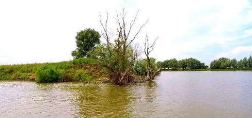 Ловля сазана в раскатной части