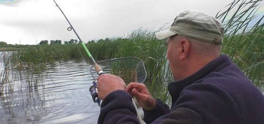 Рыбалка в июне 2020 на реке поплавочными удочками