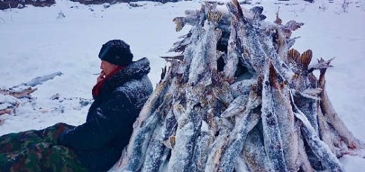 Экстремальная зимняя рыбалка в Якутии