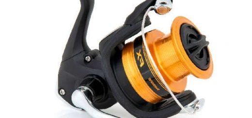 Shimano FX19