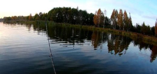 Десногорск: Рыбалка в июле 2020