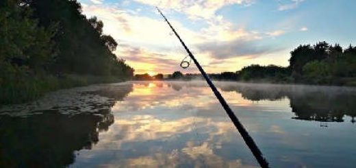 Рыбалка на щуку ранним утром