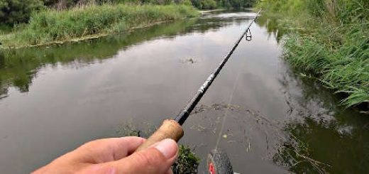 Рыбалка на жмых в Астрахани 2020