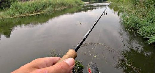 Простая рыбалка на спиннинг летом 2020