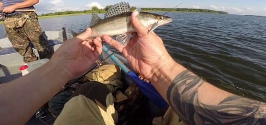 Рыбалка на ЯУЗСКОМ водохранилище