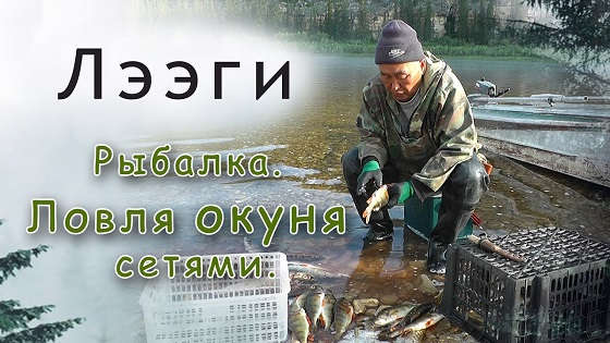 Ловля окуня сетями в Якутии