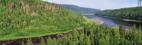 Эвенкийская потка для таёжных нужд