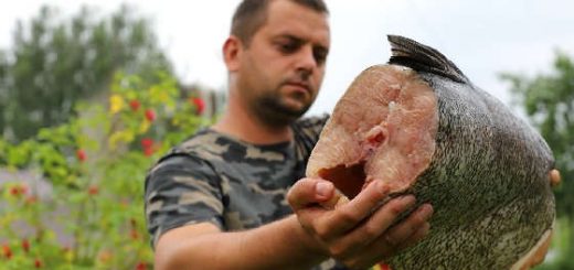 РЫБА ПО-БАТАЙСКИ В КАЗАНЕ НА КОСТРЕ