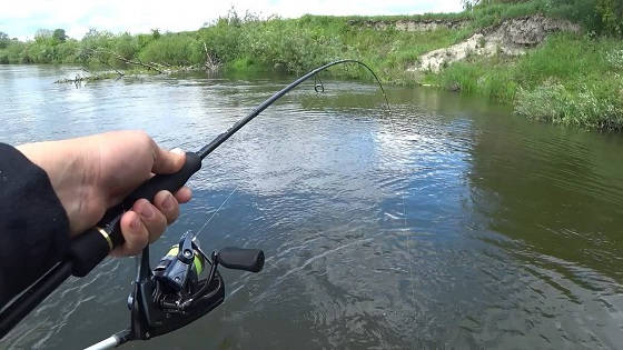 рыбалка на реке кама летом