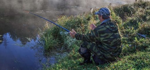 Как поймать рыбу в жару?