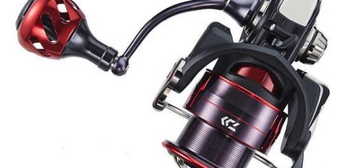 Daiwa FUEGO LT 2018