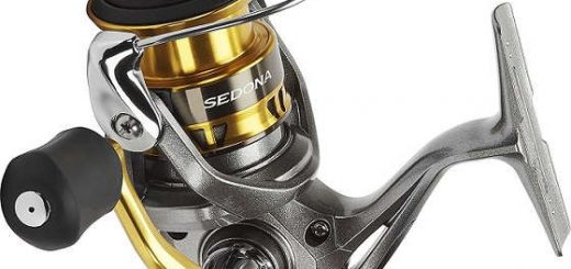 Обзор катушки Shimano Sedona FI