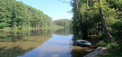 Британский водоём в Харьковской области