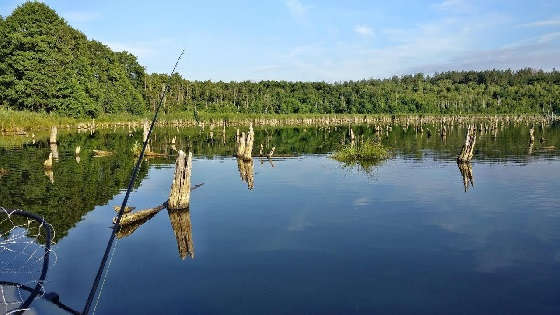 ЛОВЛЯ ЩУКИ В КОРЯГАХ С ЛОДКИ