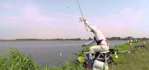 Чемпионат Гродненской Области по фидеру