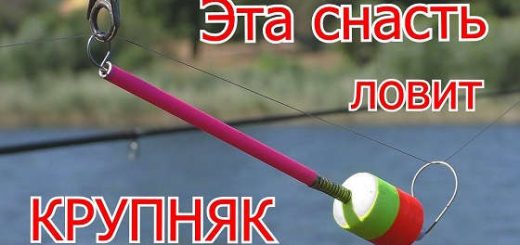 Рыбалка на комбинированную снасть