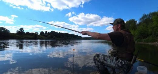 Рыбалка на Плотву в Конце Августа 2020