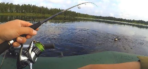 Рыбалка на ВЕРТУШКУ