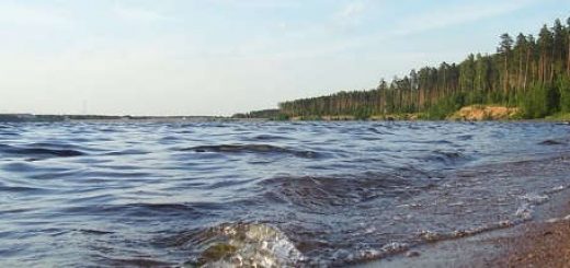 Рыбалка на Смоленском водохранилище