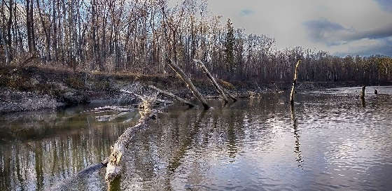 СЕКРЕТНАЯ ХИТРОСТЬ В КОРЯЖНИКЕ