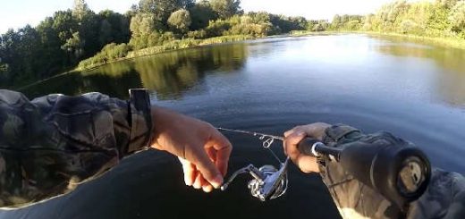 Рыбалка на реке Сейм на окуня и щуку