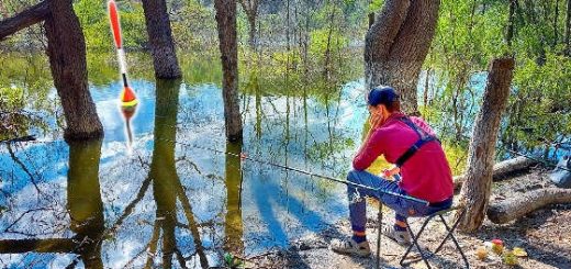 РЫБАЛКА В ЗАТОПЛЕННОМ ЛЕСУ