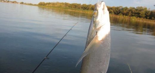 Осенняя рыбалка в Астрахани 2020