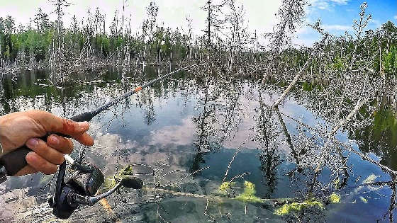  РЫБАЛКА В ЗАТОПЛЕННОМ ЛЕСУ Сибири