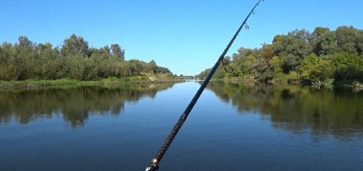 Рыбалка на джиг и вертушки на реке Десна