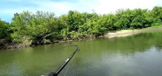 Рыбалка на реке в конце лета