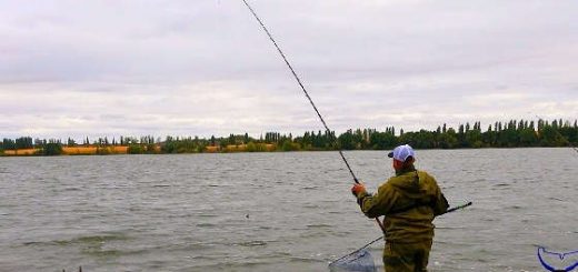 Рыбалка на САЛО на большой реке