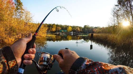 Рыбалка на спиннинг осенью