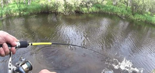 Рыбалка на таёжной реке