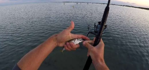 Ловля на самодур и силиконовые приманки в Черном море