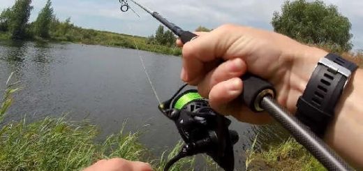 Рыбалка на спиннинг в корягах