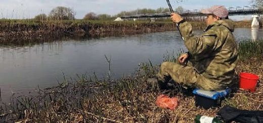 Рыбалка в Беларуси на реке Свислочь