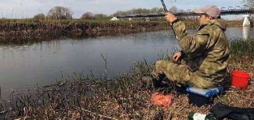 Рыбалка в Беларуси на реке Свислочь