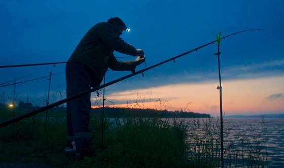 рыбалка осенним вечером на донки