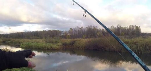 Рыбалка со СПИННИНГОМ на МАЛОЙ РЕКЕ осенью