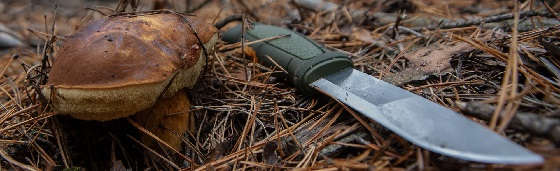 Правка любого ножа в лесу