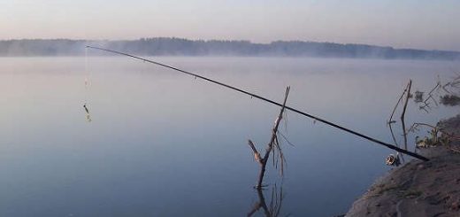 Спиннинг на Реке в Октябре