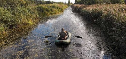Охота на утку: труднодоступное болото