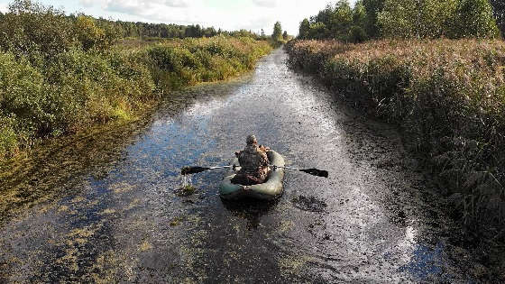 Охота на утку: труднодоступное болото