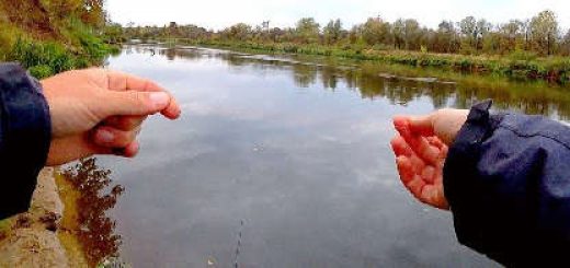 КАК СПАСТИ ПРИМАНКУ ИЗ ЗАЦЕПА