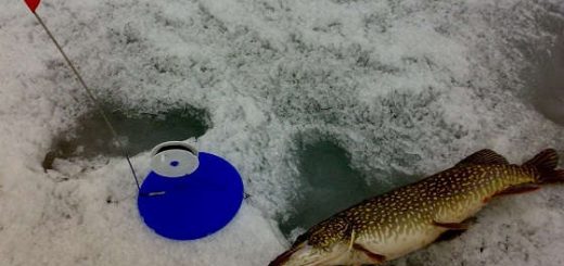 Ловля щуки на жерлицы со льда