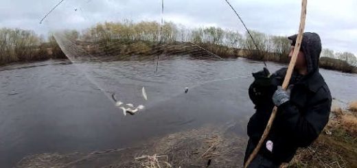 Рыбалка ХАПУГОЙ на Сибирском Болоте