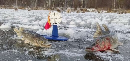 ЛОВЛЯ ЩУКИ на ЖЕРЛИЦЫ по ПЕРВОМУ ЛЬДУ