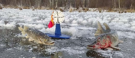 ЛОВЛЯ ЩУКИ на ЖЕРЛИЦЫ по ПЕРВОМУ ЛЬДУ