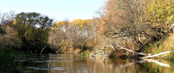 Ловля щуки на закоряженной реке